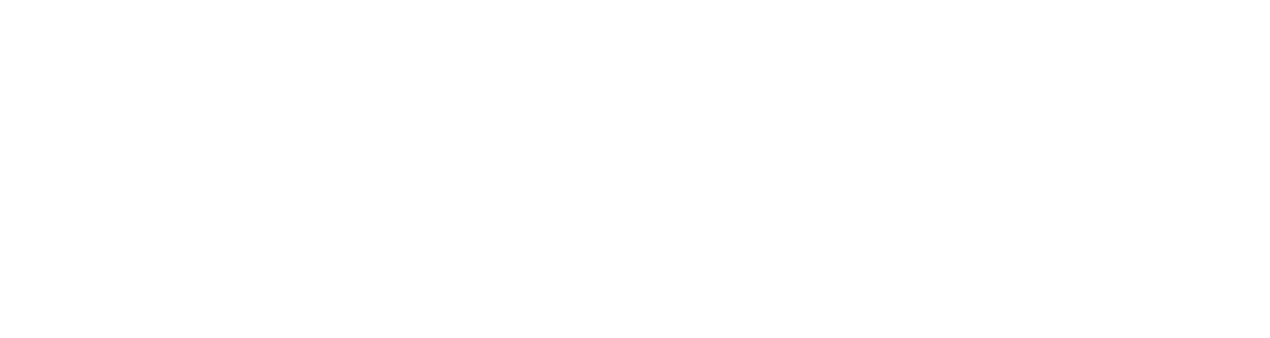 GNP Seguros